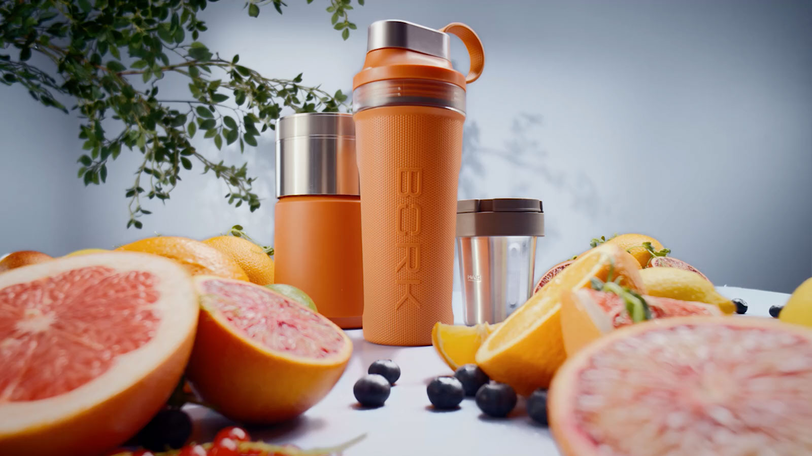 Discover our latest arrivals