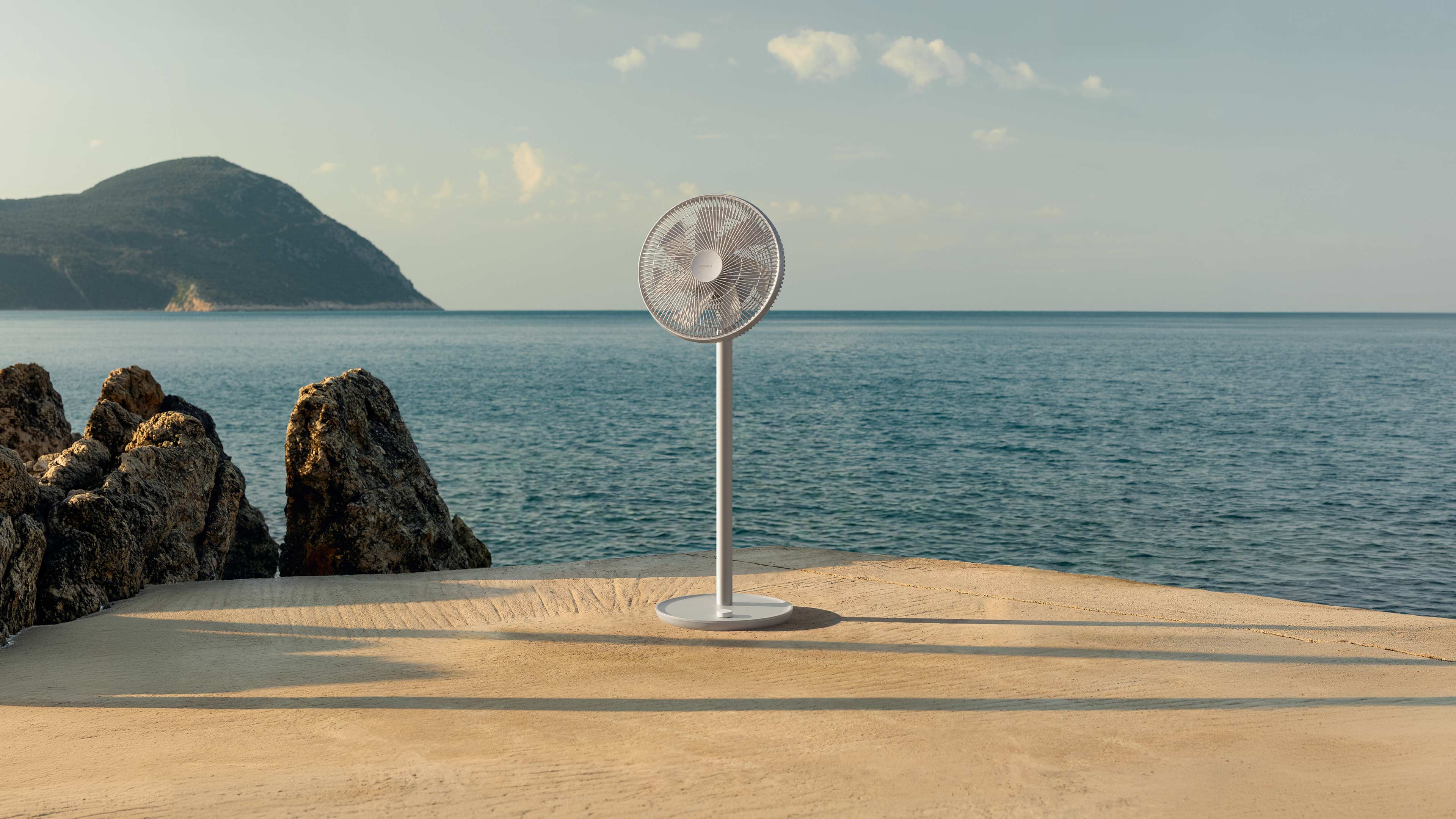 Fan Collection