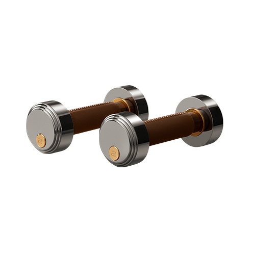 Dumbbells BORK HS832